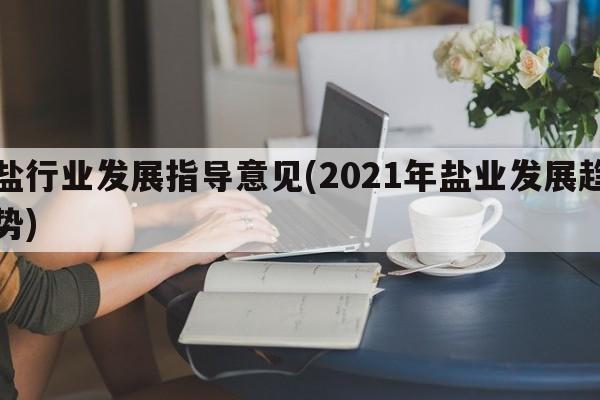 盐行业发展指导意见(2021年盐业发展趋势)