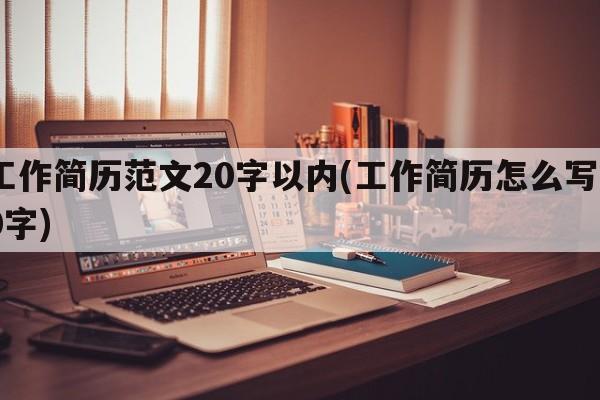 工作简历范文20字以内(工作简历怎么写20字)